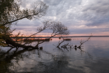 In den goldenen Herbst / ***