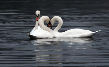 Odd Man Out ... / ***