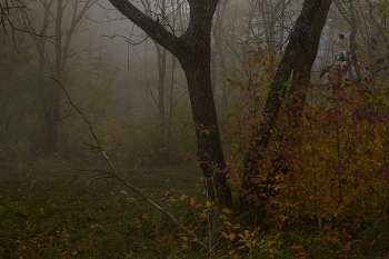 Sonnenaufgang über dem Fluss / ***