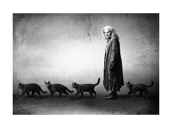 &nbsp; / digital art