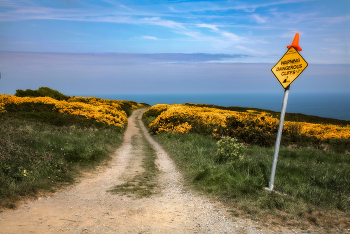 On Your Own Risk / ***