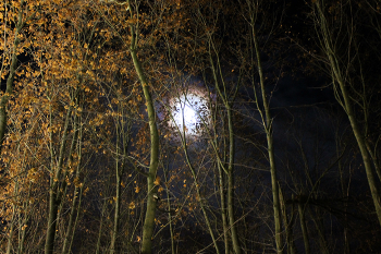 Der Winter kommt / ***