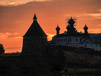 Sonnenaufgang im Wald / ***