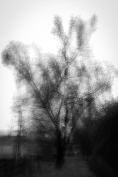 Herbst ist gekommen / ***