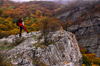 Autumn Fotografen / ***
