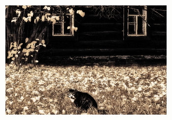 In den goldenen Herbst / ***