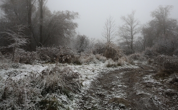 Der Winter kommt / ***