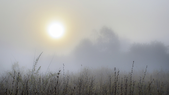 Nebel und Sonne / ***