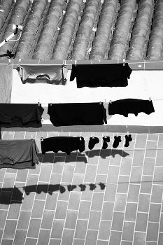 Durch grasen auf der Wiese ... / ***