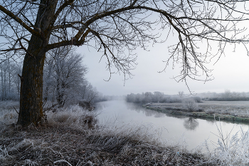 Die ersten Frost / ***
