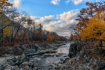Herbst ... / 10 2025