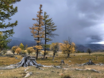 Altai Herbst / ***