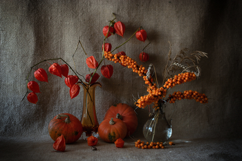 &nbsp; / 03-10-2025.