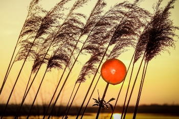 sunset / sunset in late summer