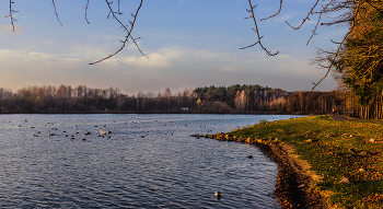 Abendspaziergang / ***