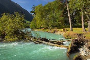Mountain Stream / ***