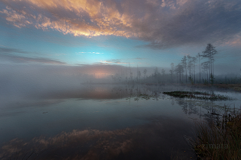 durch den Nebel / ***