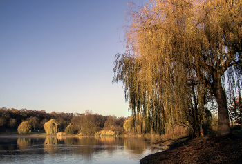 Nebel zerstreut / ***