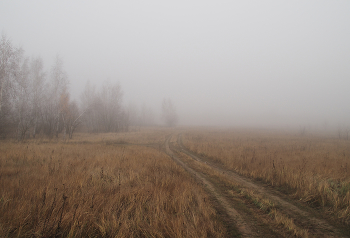 Straße im Nebel / ***