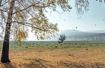 Ein Hauch von Herbst / ***