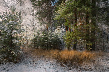 Unter dem Deckmantel / ***