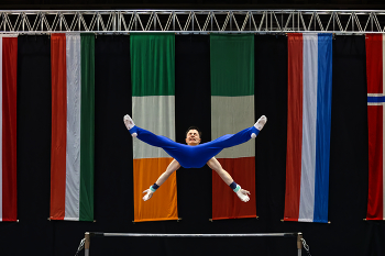 Meister - Turner / ***