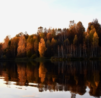 Charm der Augen ... / ***