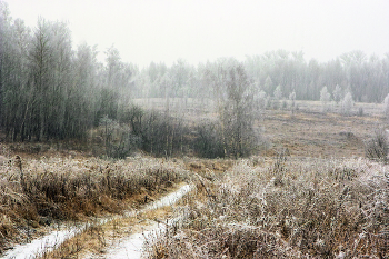 Die November-Schnee / ***