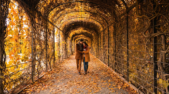 Einladung zur Herbst- / ***