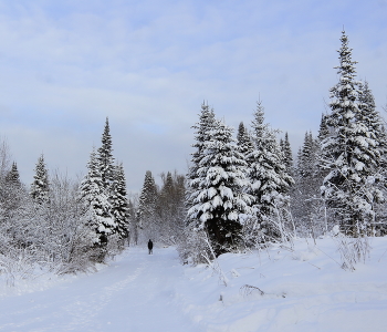 Der erste Tag des Winters / ***