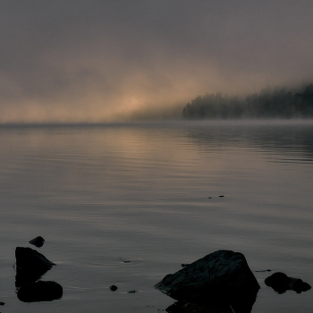 Früh am Morgen / ***