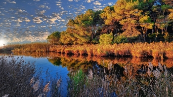 Altafulla (Tamarit) - desembocadura riu Gaià - Tarragonès / Altafulla (Tamarit) - desembocadura riu Gaià - Tarragonès