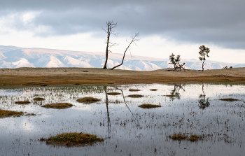 Herbst Einsamkeit / ***