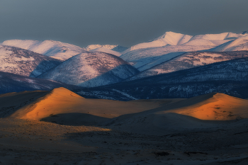 während langen Schatten / ***