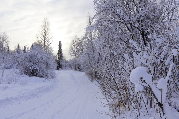 Die Spuren der unsichtbaren Bestien / ***