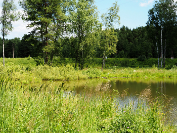 Alten Steinbruch / ***