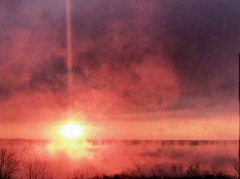 Goldene Sonnenstrahl / ***