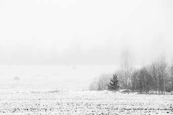 In der High-Key- / ***