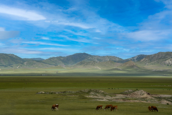 Altaischen Räume / ***