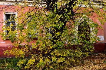 Wiedersehen im Herbst ... / ***