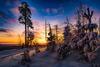 Sonnenaufgang über dem Fluss / ***