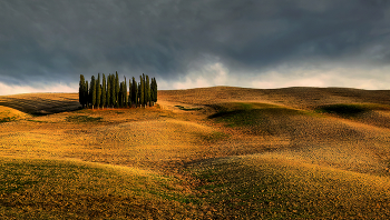 Cipressi Group / ***