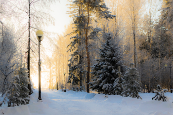 In Winter Park / ***