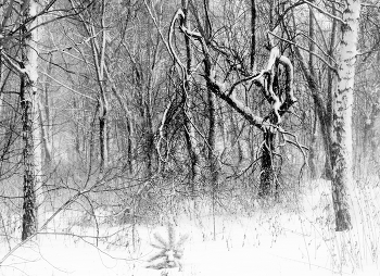 Winterflugplan / ***