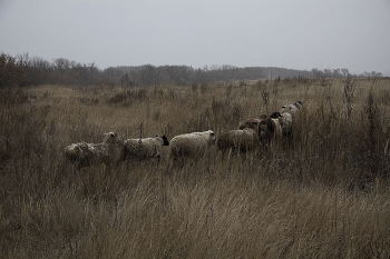 Abend Promenade / ***