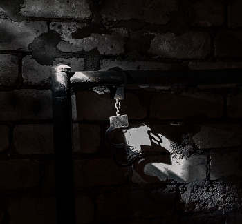 Der freie Wille / ***