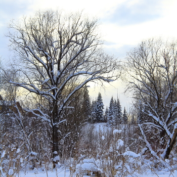 Winterflugplan / ***