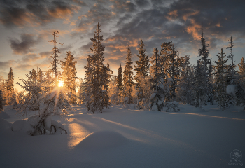 auf dem Hügel / ***