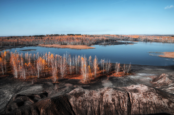 Native Freiflächen. / ***