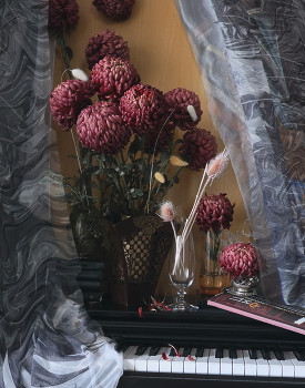 _12 2025 / Dreams ... aspera...astra